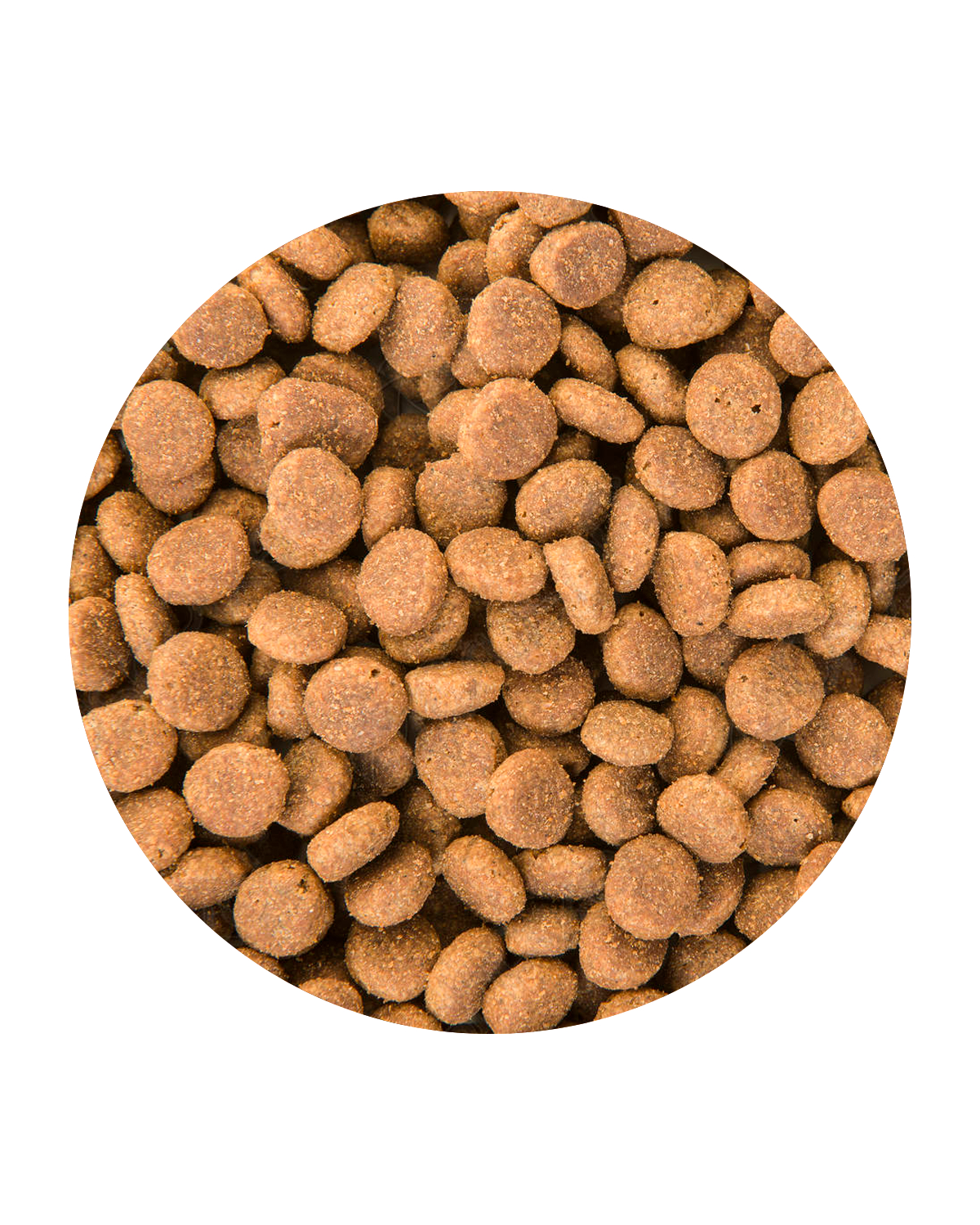 Alimentos Balanceados - Importadora Metropolitana - Logistica Gonzalez