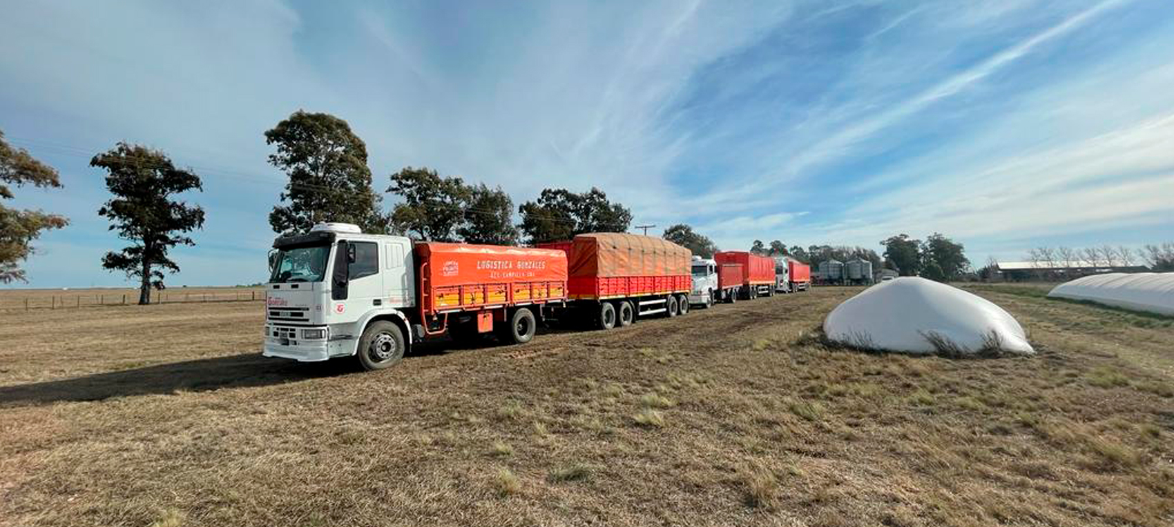 Nuestra Identidad - DVS Logística y Transporte