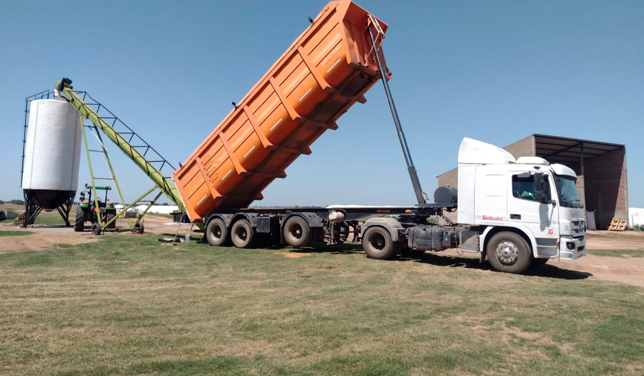 Camion Tolva - Logistica Gonzalez