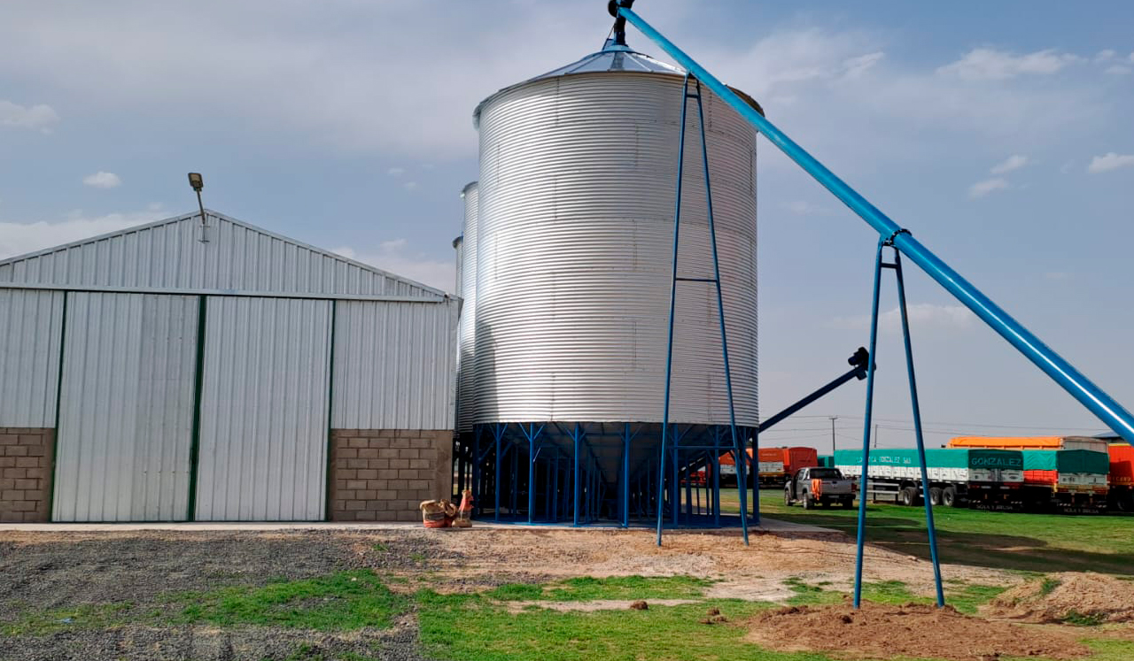 Silos y Exportacion - Logistica Gonzalez