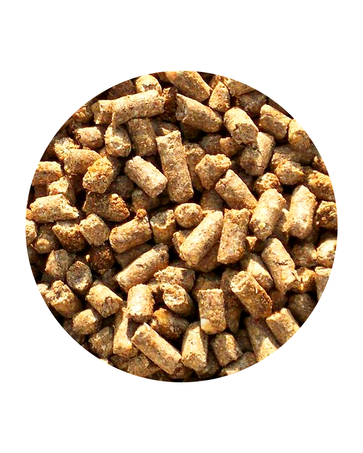 Pellet de trigo - Importadora Metropolitana - Logistica Gonzalez